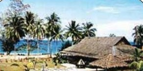 D'Coconut Resort, Pulau Besar, Johor